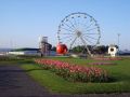 The Fair